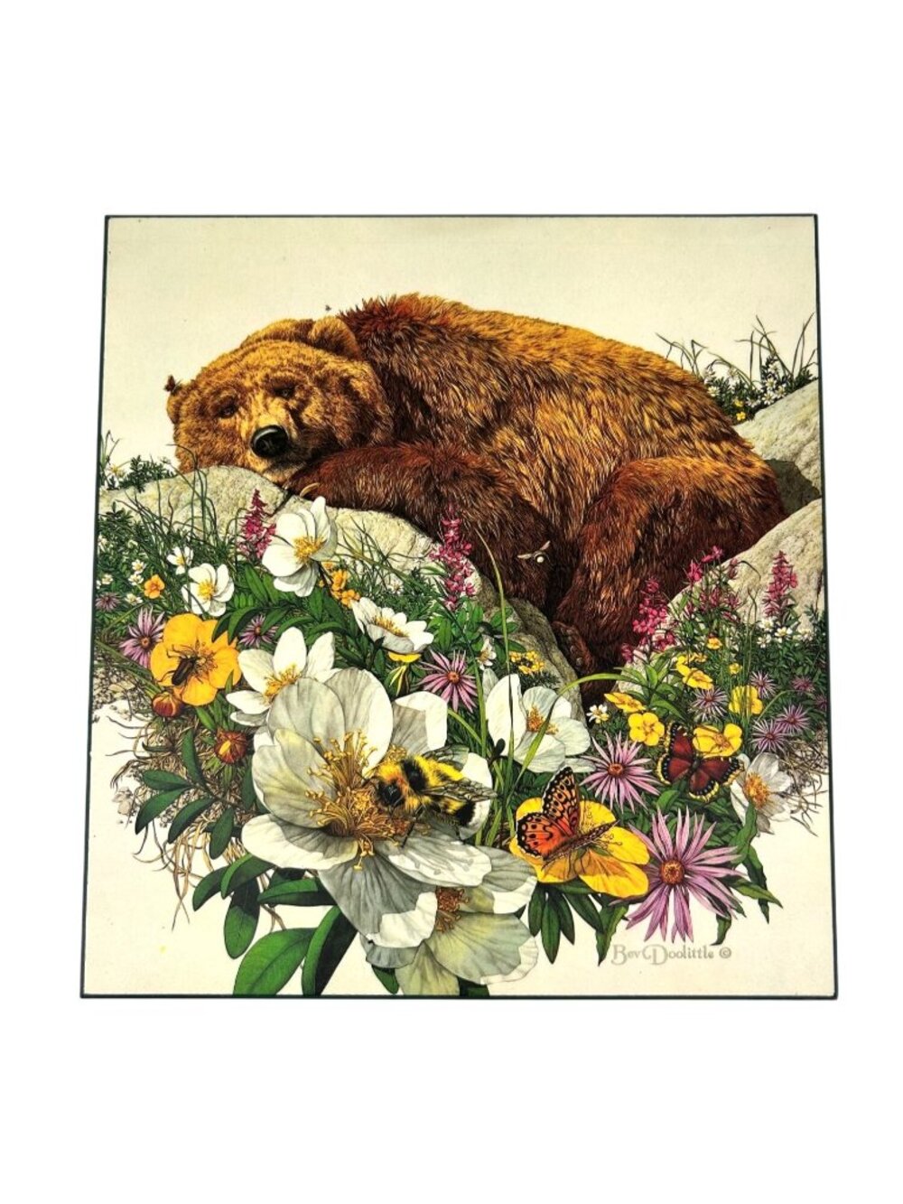 Bev Doolittle Bugged Bear Sleeping Wildflowers Bee Art Print on Wood 9.75" x 9"